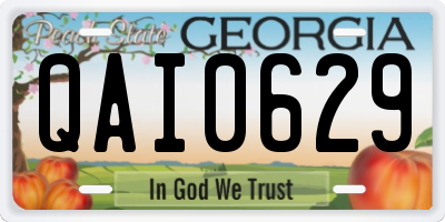GA license plate QAI0629