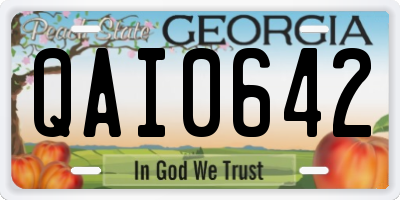 GA license plate QAI0642