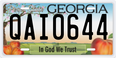 GA license plate QAI0644