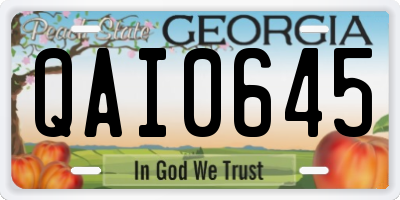 GA license plate QAI0645