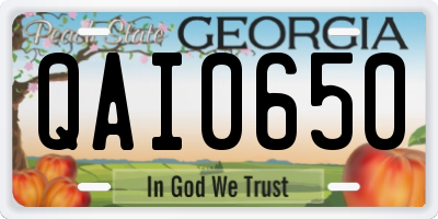 GA license plate QAI0650