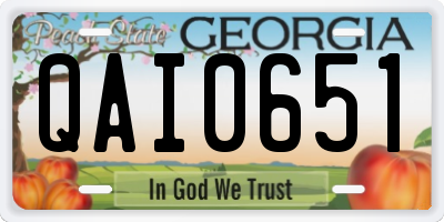 GA license plate QAI0651