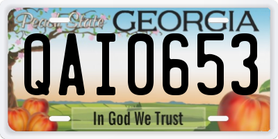 GA license plate QAI0653