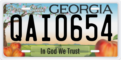 GA license plate QAI0654
