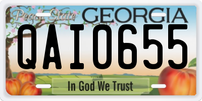 GA license plate QAI0655