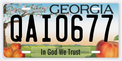 GA license plate QAI0677