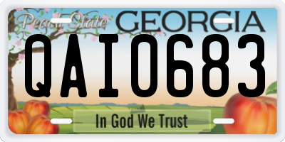 GA license plate QAI0683