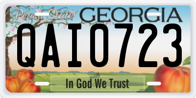 GA license plate QAI0723