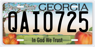 GA license plate QAI0725