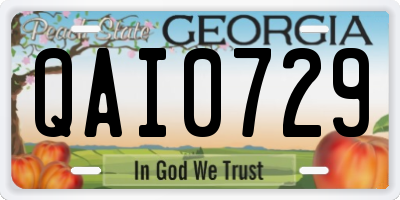 GA license plate QAI0729