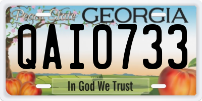 GA license plate QAI0733