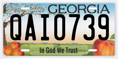 GA license plate QAI0739