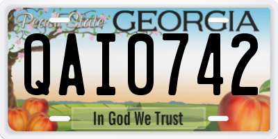 GA license plate QAI0742