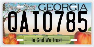 GA license plate QAI0785