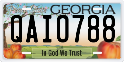 GA license plate QAI0788