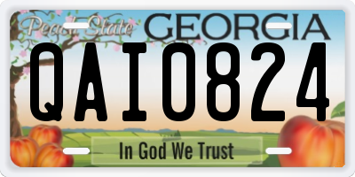 GA license plate QAI0824