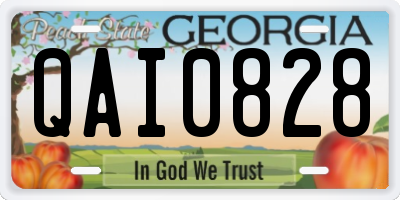 GA license plate QAI0828