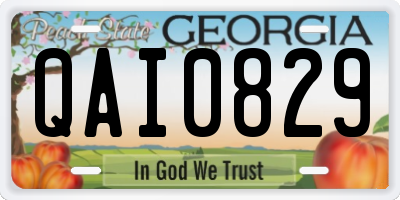 GA license plate QAI0829