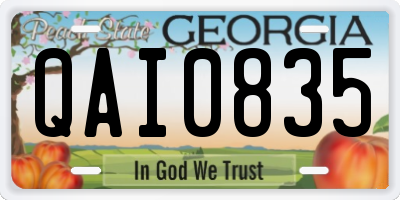 GA license plate QAI0835