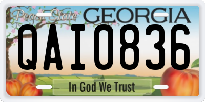 GA license plate QAI0836