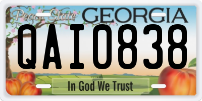 GA license plate QAI0838