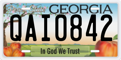 GA license plate QAI0842