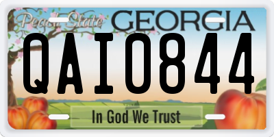 GA license plate QAI0844