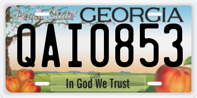 GA license plate QAI0853