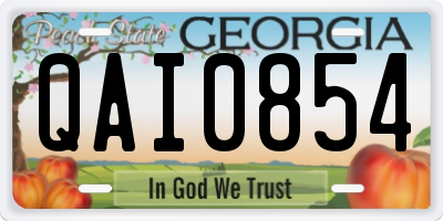 GA license plate QAI0854