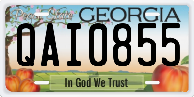 GA license plate QAI0855