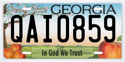 GA license plate QAI0859