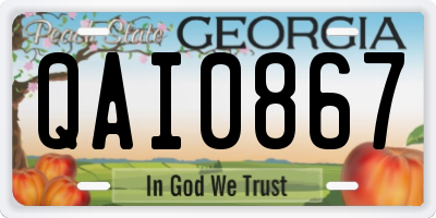 GA license plate QAI0867