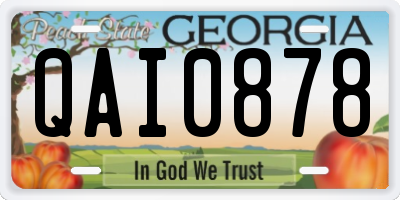 GA license plate QAI0878