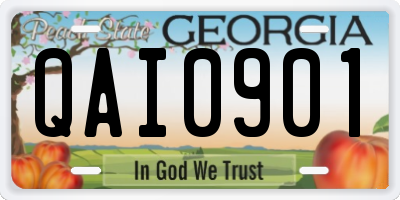 GA license plate QAI0901