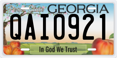 GA license plate QAI0921
