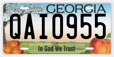 GA license plate QAI0955