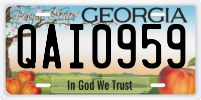GA license plate QAI0959