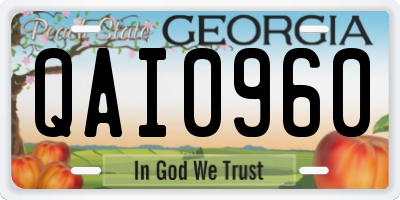 GA license plate QAI0960