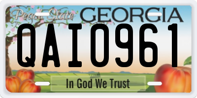GA license plate QAI0961