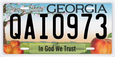 GA license plate QAI0973