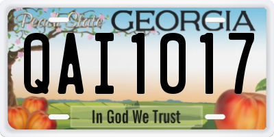 GA license plate QAI1017