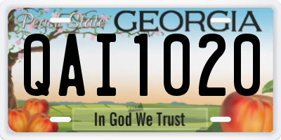 GA license plate QAI1020