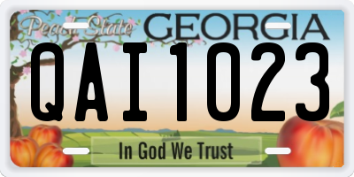 GA license plate QAI1023