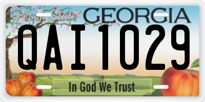 GA license plate QAI1029