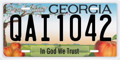 GA license plate QAI1042
