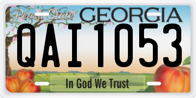 GA license plate QAI1053