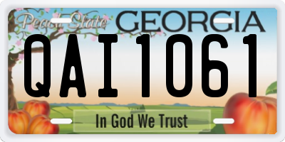 GA license plate QAI1061