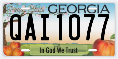 GA license plate QAI1077