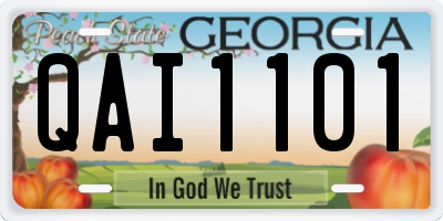 GA license plate QAI1101