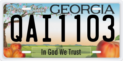 GA license plate QAI1103